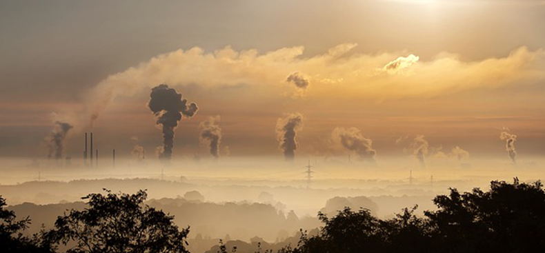 La pintura y el Medio Ambiente