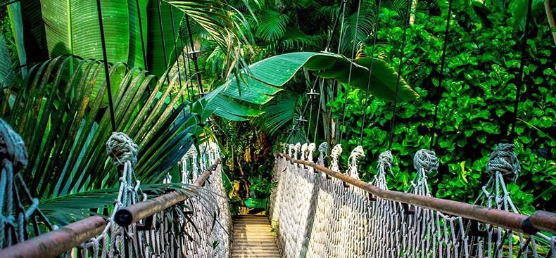 Explorando el mundo a través de los colores de las vacaciones
