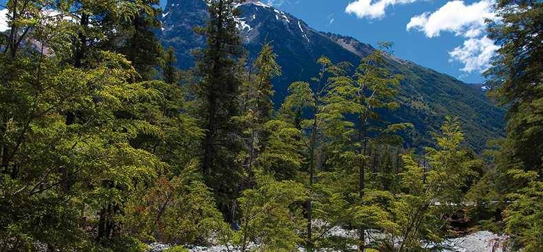 Los colores de Argentina: destinos de verano inolvidables